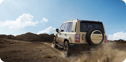 модель iCAUR V27