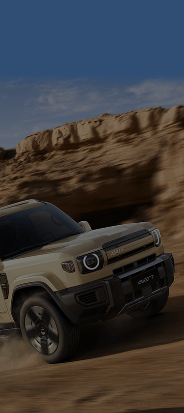 фоновое изображение ICAUR